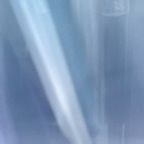 Veil Portends